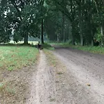 بيت للعطل Charming Countryside ولين
