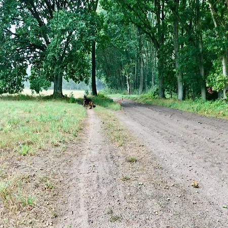 Charming Countryside Feriehus *